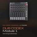 Dub Teacher